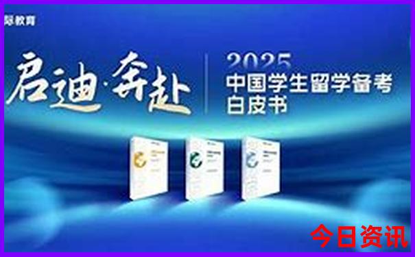 尼斯的十大著名景点